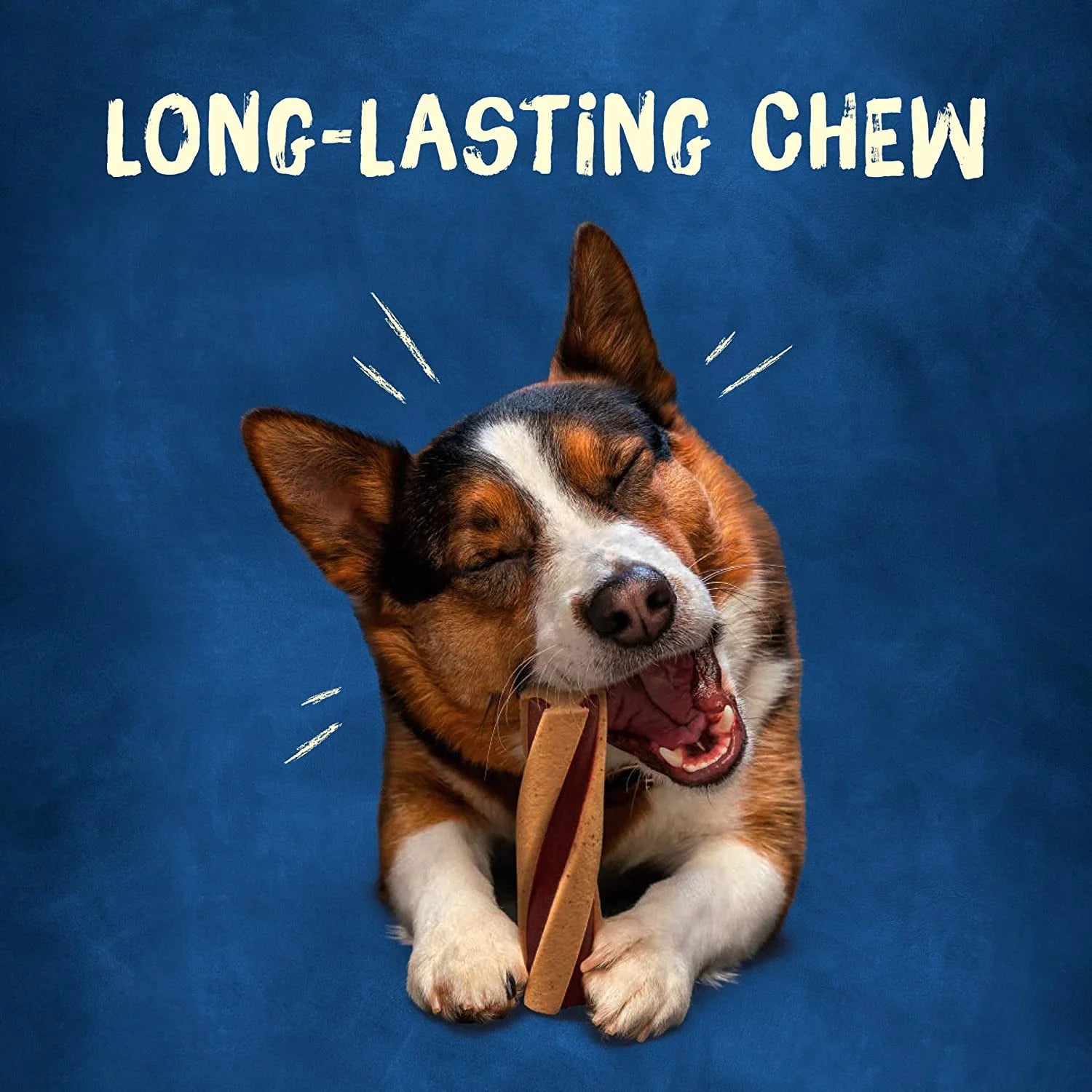 Busy with Beggin' Made in USA Facilities Small/Medium Breed Dog Treats, Twist'D - 10 Ct. Pouch (038100172556)