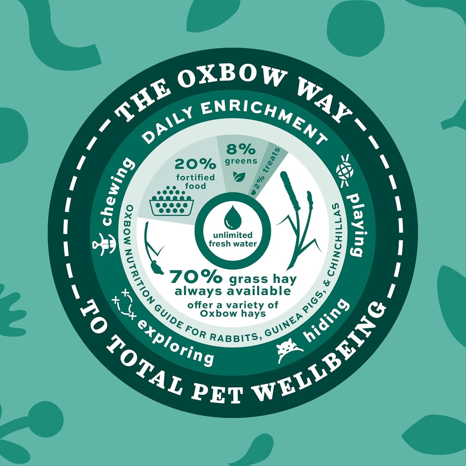 Animal Health Western Timothy Hay, Guinea Pig Hay, Small Pet Bunny Supplies, All Natural Grass for Guinea Pig, Bunny, Chinchilla & Hamster,  Rabbit Supplies for Bunnies, 9 Lb Box
