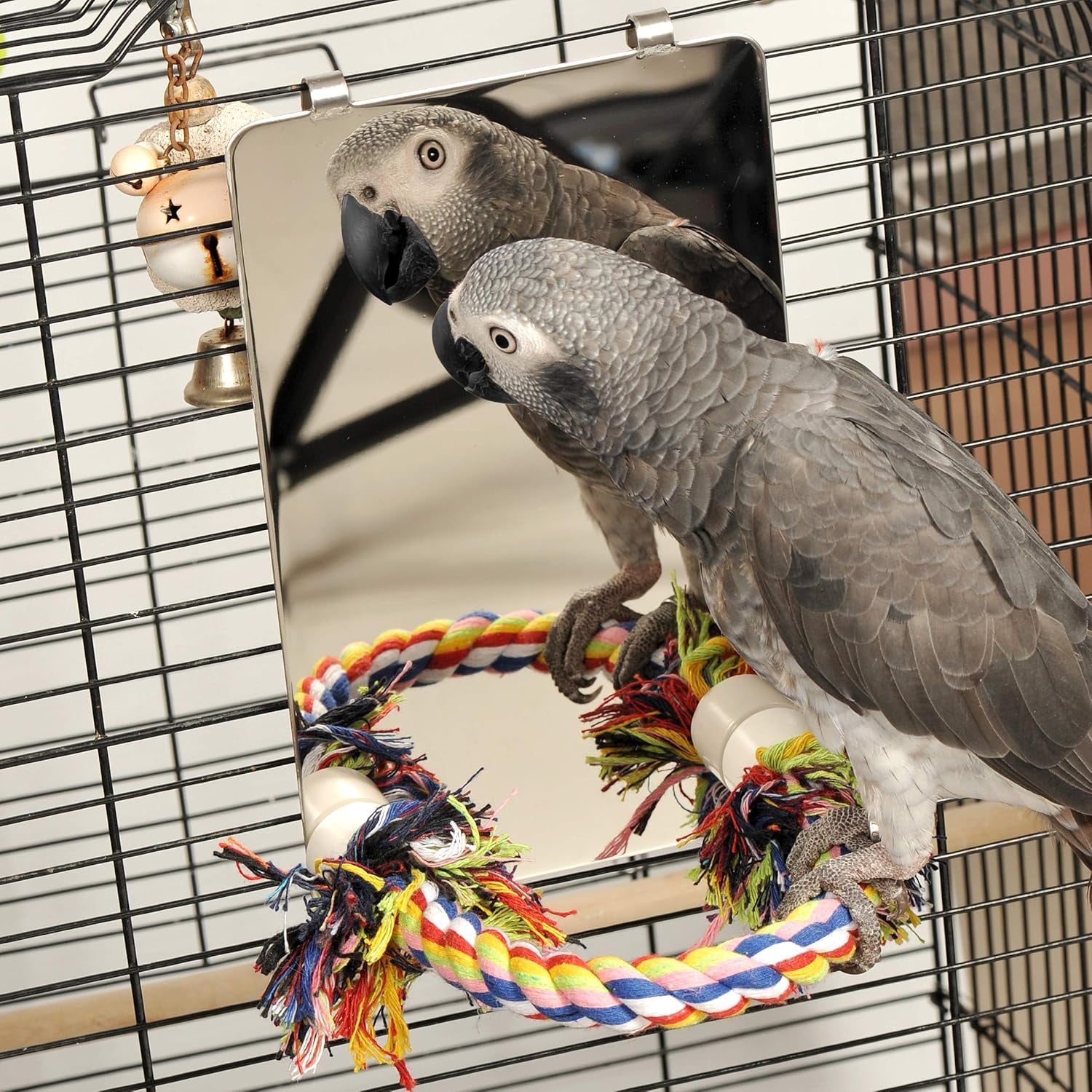 9 Inch Stainless Steel Bird Mirror with Rope Perch, Bird Toys Swing, Comfy Perch for African Grey Parakeet Cockatiel Conure Lovebird Finch Canaries