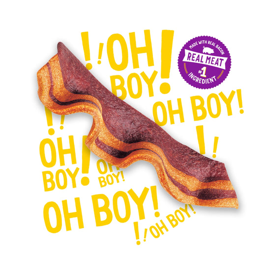 Purina  Strips Dog Treats with Real Bacon & Cheese Flavors Tender Chews, 40 Oz Pouch