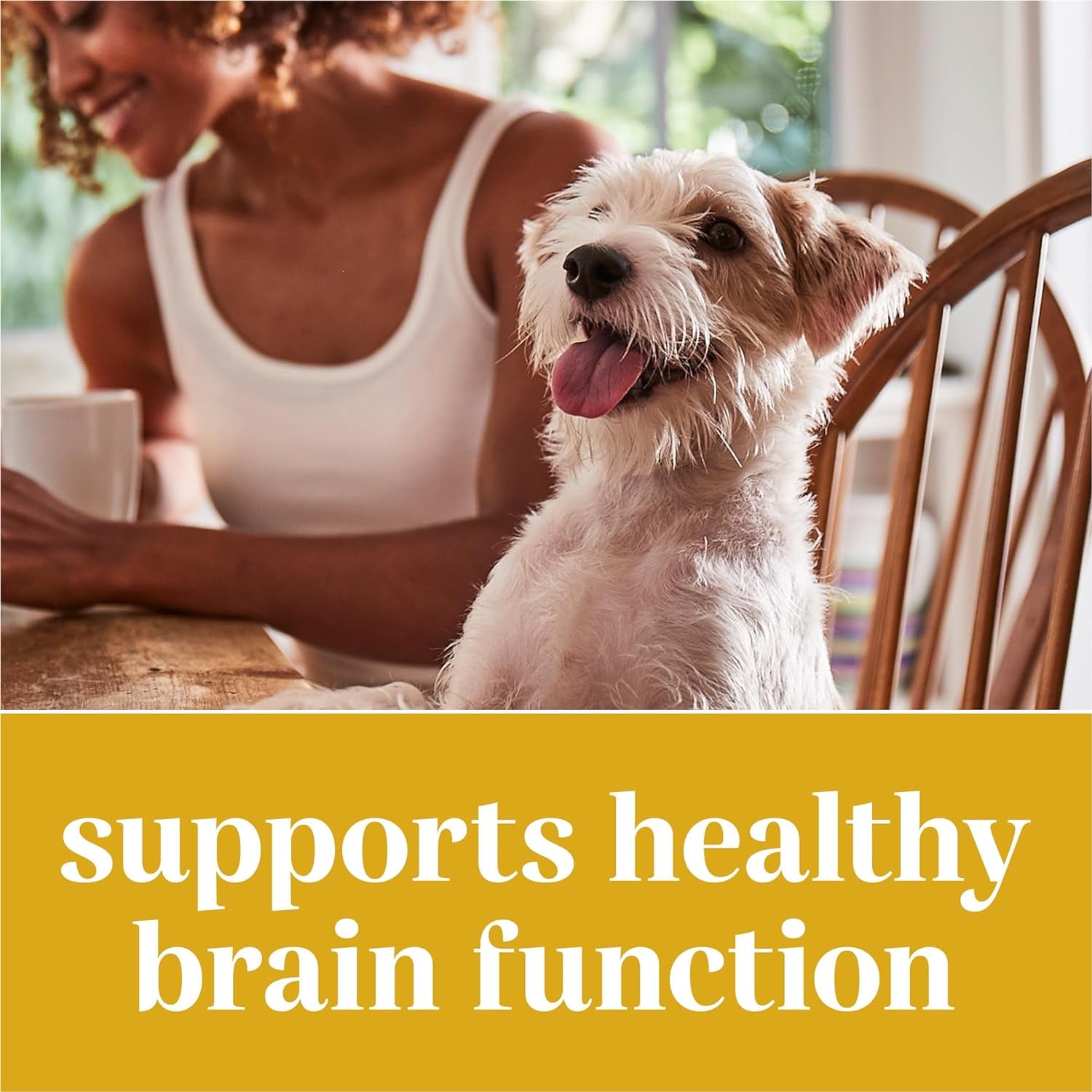 Dog Supplements Powered by Purina Brain Health Chewable Tablets with Coconut Oil - 4.02 Oz. Canister